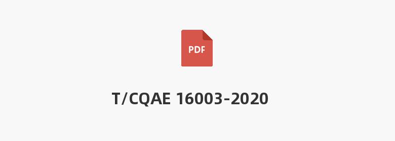 T/CQAE 16003-2020